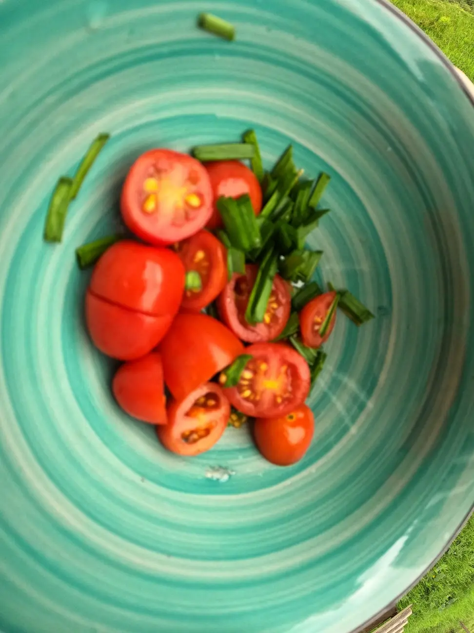 small-tomato-garlic-greens.jpg small-tomato-garlic-greens.jpg