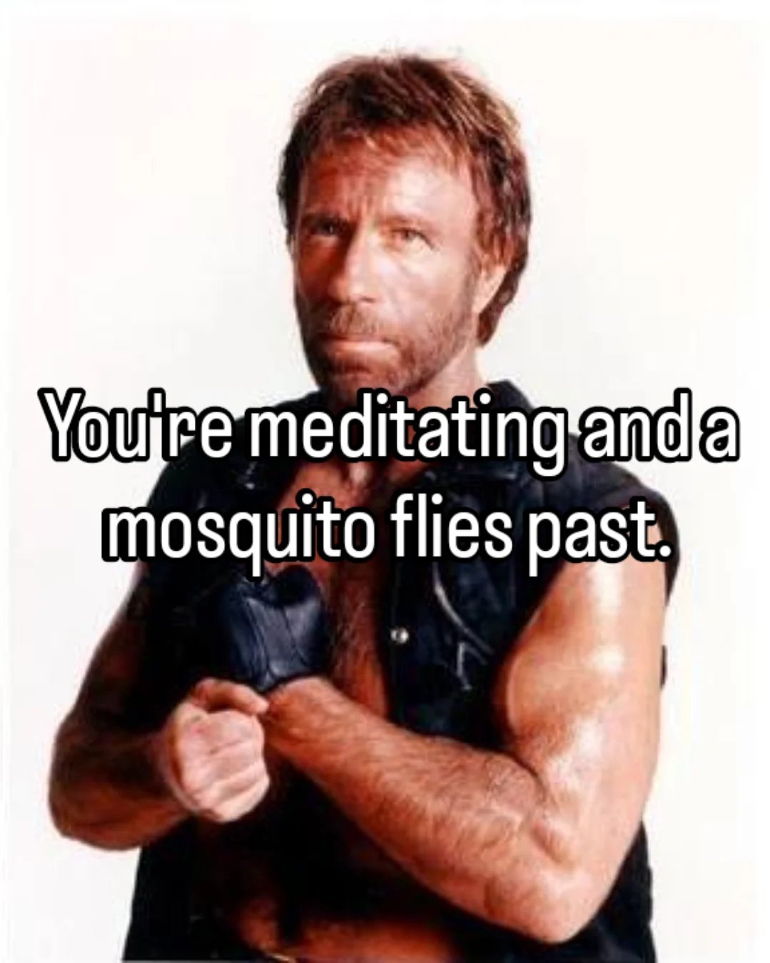 They don't stand a chance! Now obviously I'm talking about an aware, active meditation. ðð

#meditation #martialarts #focus #memes #chucknorris