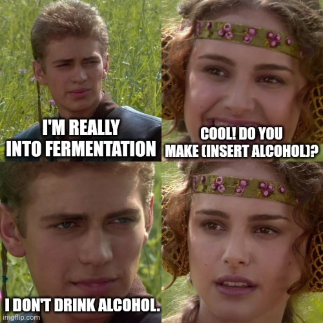 Literally every time...

#memes #fermentation #healthylifestyle #holistichealth #sober #awkwardmoments