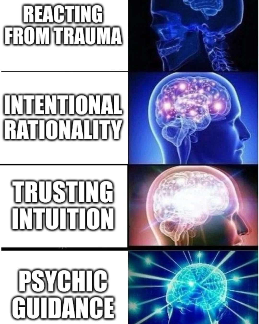 I never would have believed I'd be making daily decisions based on psychic rituals, but damn! Those results though.

#psychic #intuition #spirituality #meme #memes #magic