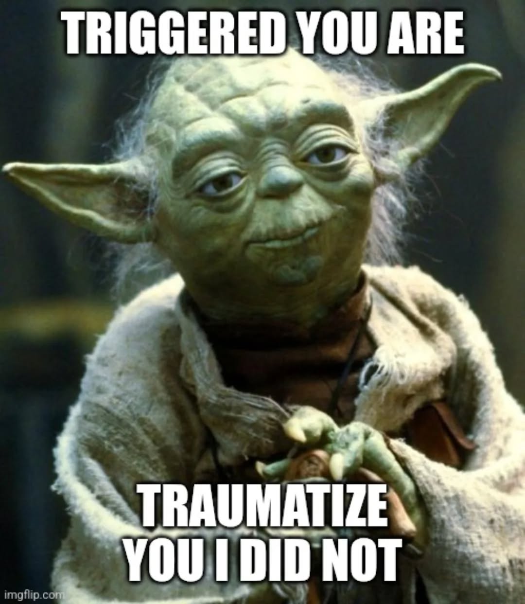 #meme #memes #yodamemes #Yoda #trauma #triggered