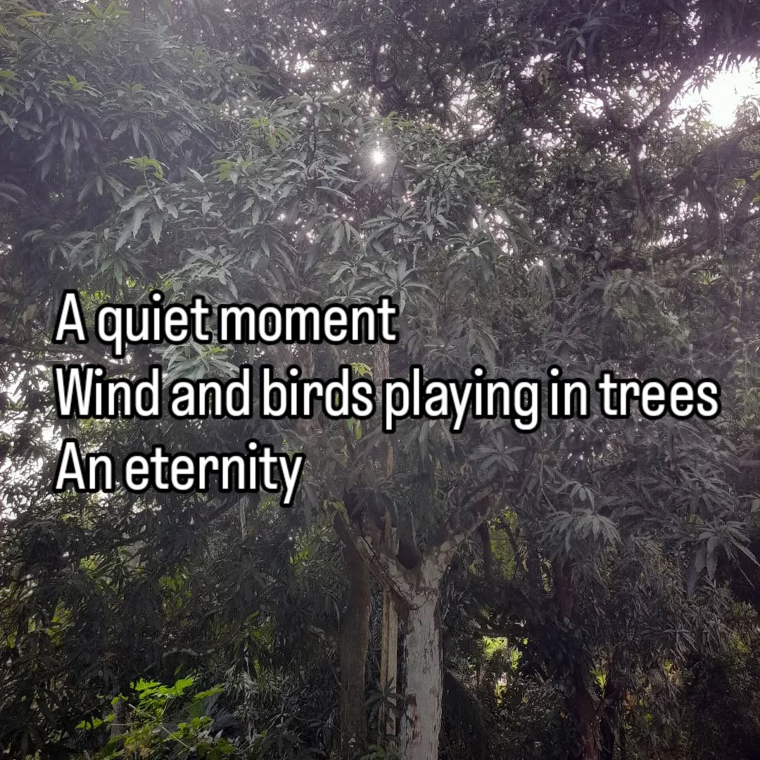 #haiku #poetry #time #timetravel #zen #spirituality #nature #meditation