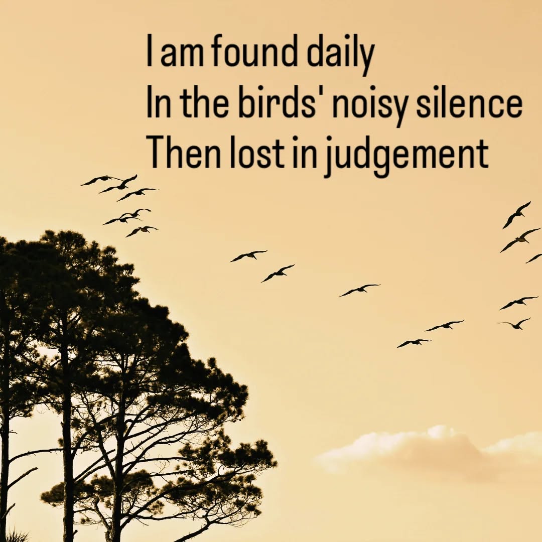#haiku #poetry #zen #yoga #spirituality #innerpeace #grounding #holistichealth #holistic