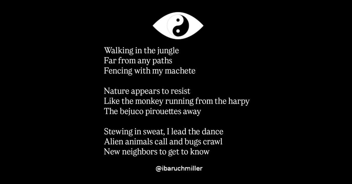 Walking in the jungle
Far from any paths
Fencing with my machete
Nature appears to resist
Like the monkey running from the harpy
The bejuco pirouettes away
Stewing in sweat, I lead the dance
Alien animals call and bugs crawl
New neighbors to get to know
I come neither in peace nor war
I come to claim my territory
To make a home of my own
Aware of my ignorance, I cut
Intuition guiding my blade
Destroying to create
Free from help and judgement
Fear of God permeates the air
Filling me with love and awe
Here, I can just be me
Co-create balance and plenty
Become aware of blessings
#poem #poetry