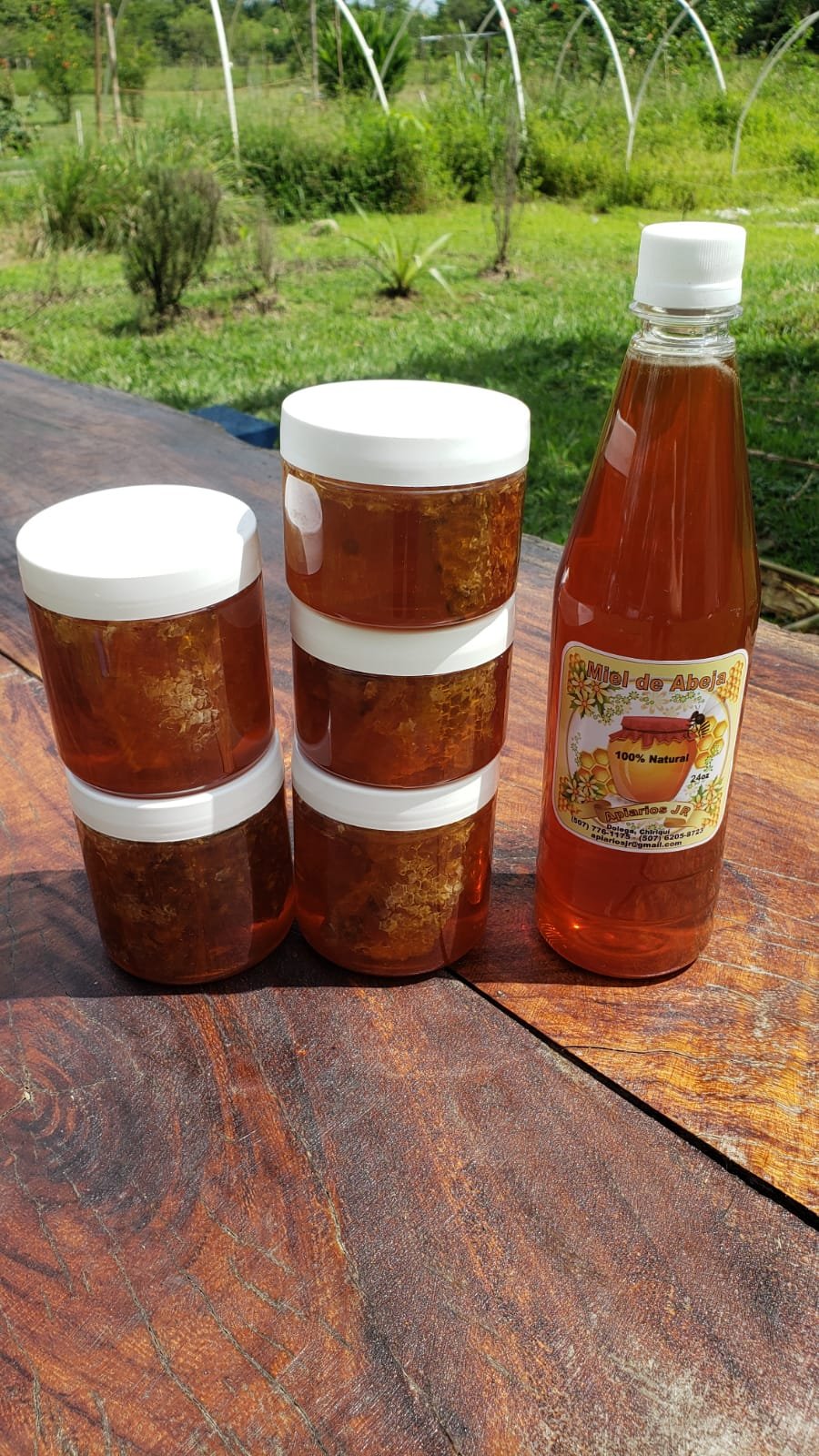 24 ounces of unfiltered honey $10
3 big jars of honey with the comb $18
2 small jars of honey with the comb $10
Buying raw, unfiltered products made by craftsmen a few miles away: priceless.