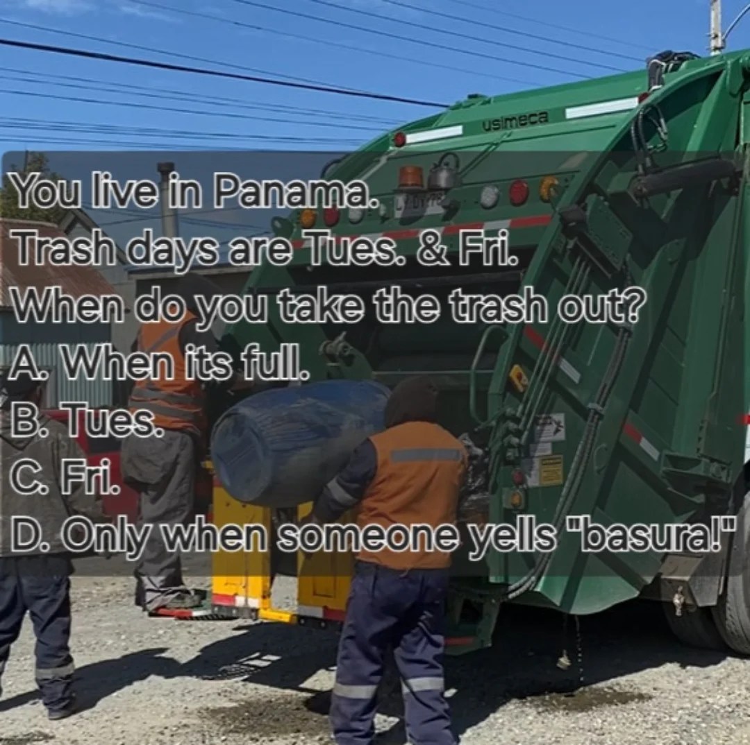 Anyone want to try answering?

#latam #trashday