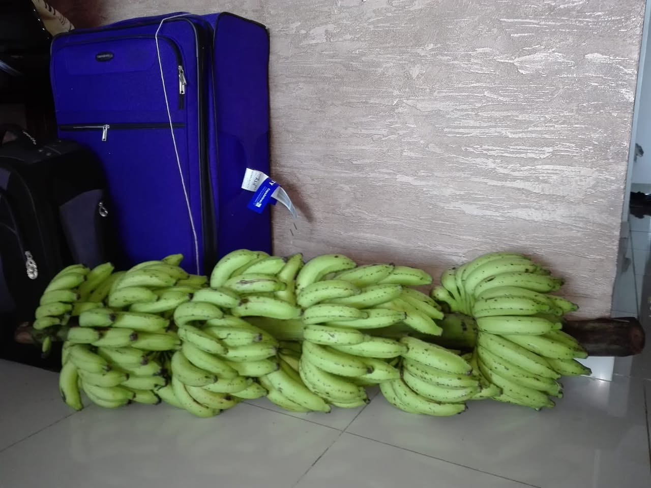 Banana anyone?