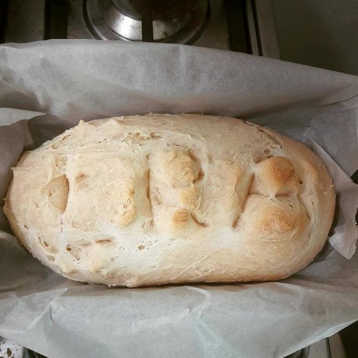 My bread. This is full fat kefir bread, and it's mine.