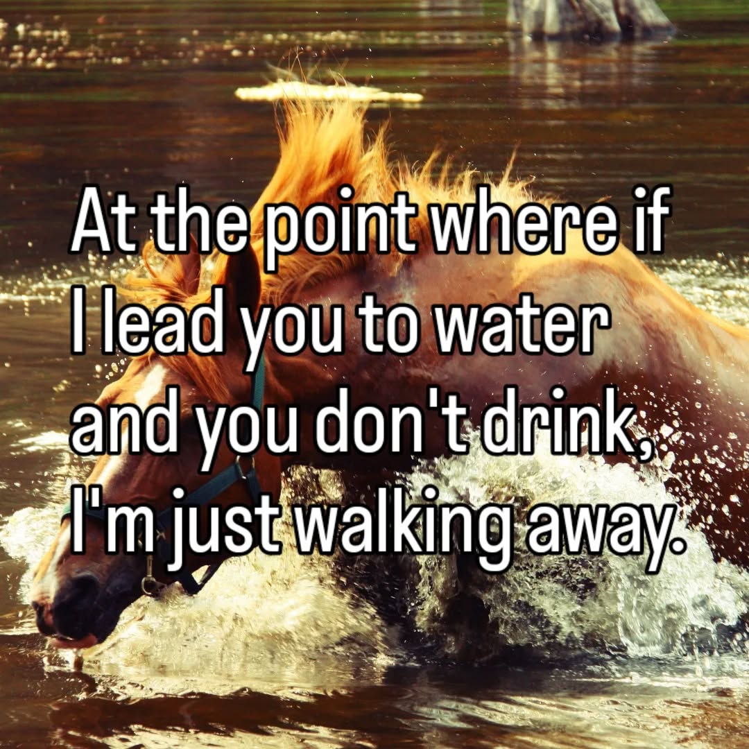 You can lead a horse to water, but you can't make it drink. You can't heal anyone else. I've learned to let karma be the teacher I could never be.
#letgo #spirituality #karma #walkaway