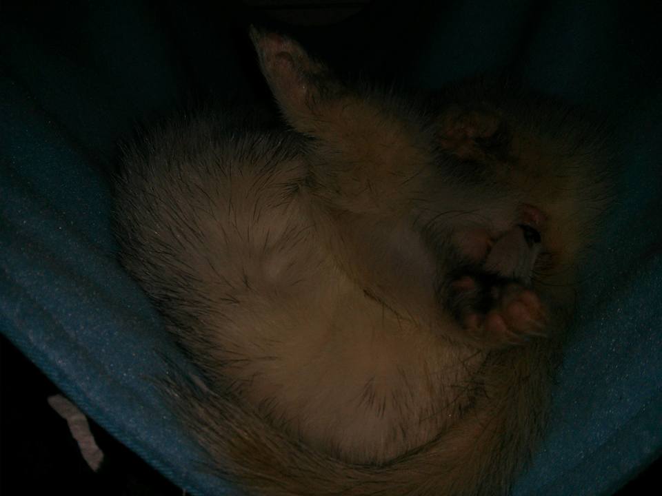 Five more minutes...
