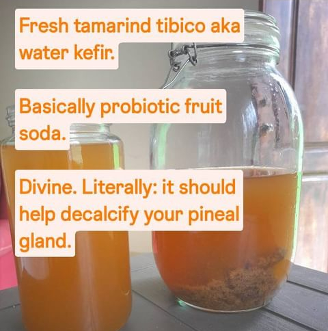 Fresh tamarind tibico aka water kefir.
Basically probiotic fruit soda.
Divine. Literally: it should help decalcify your pineal gland.
I've also heard first hand stories and seen evidence that this drink cures asthma.
#probiotics #thirdeye #holistichealth