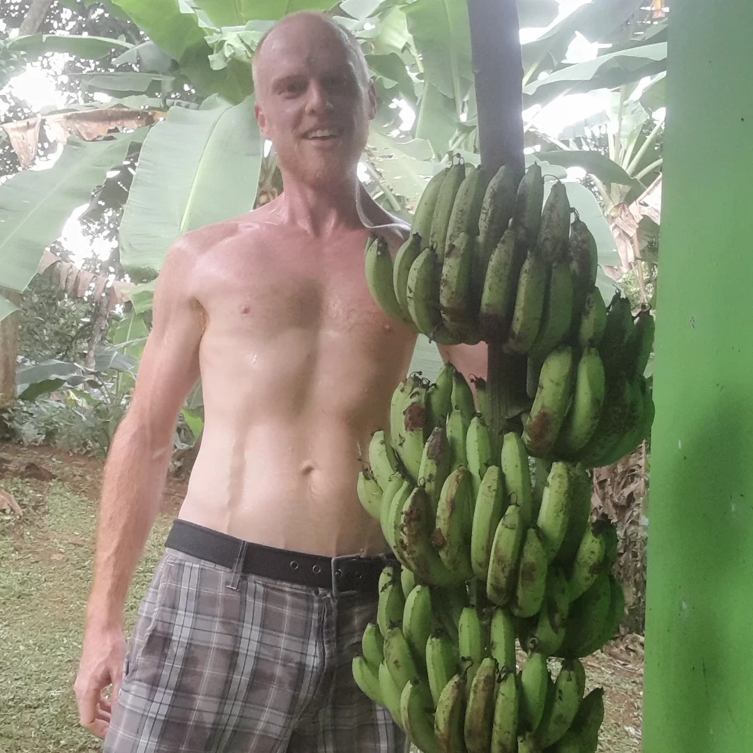Great day. Ate OMAD. Ran 5K. Came back and found these fallen bananas from my garden. Prefect timing, since I just processed the last head. Another day in paradise!

#goodlife #paradise #lavidaesbella #garden #running #omad