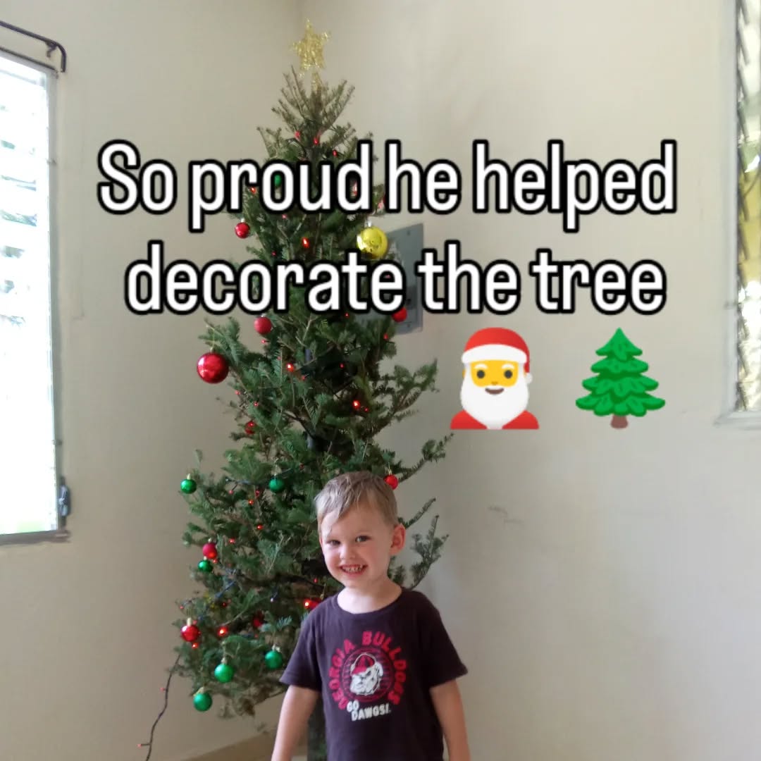 He is very happy and proud that he helped decorate the Christmas tree!
#christmas #christmastree #childhood