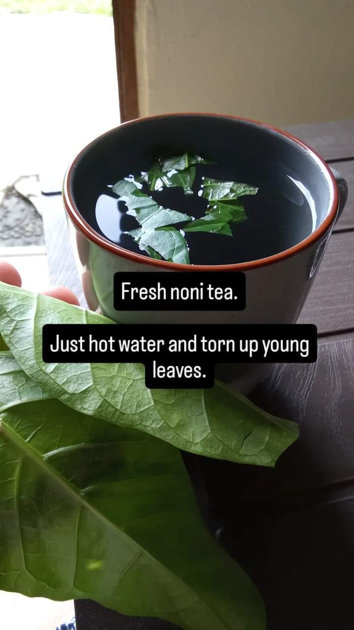 #herbal #teatime #holistichealth