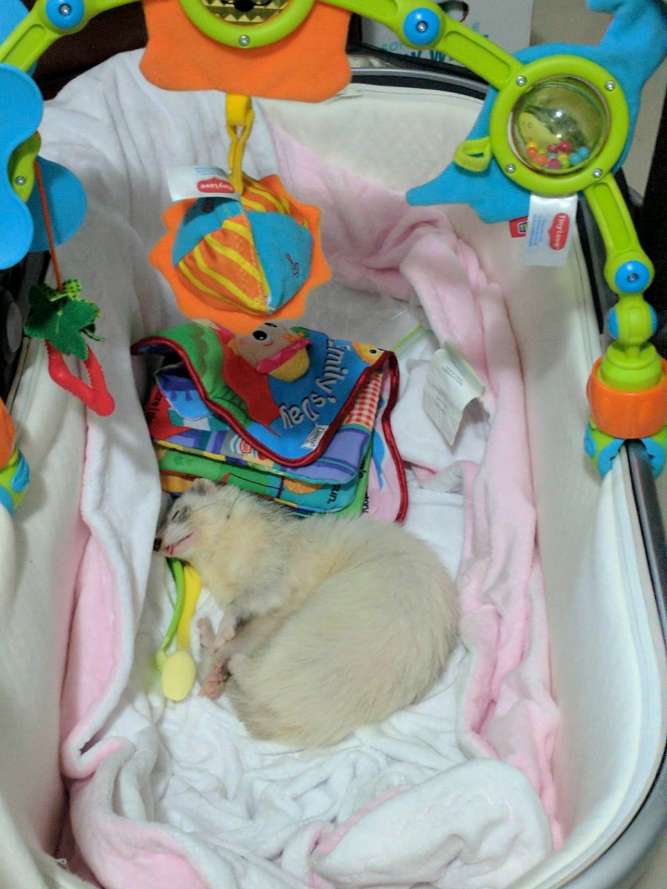 Hmmm what a comfy looking bed. Mine.