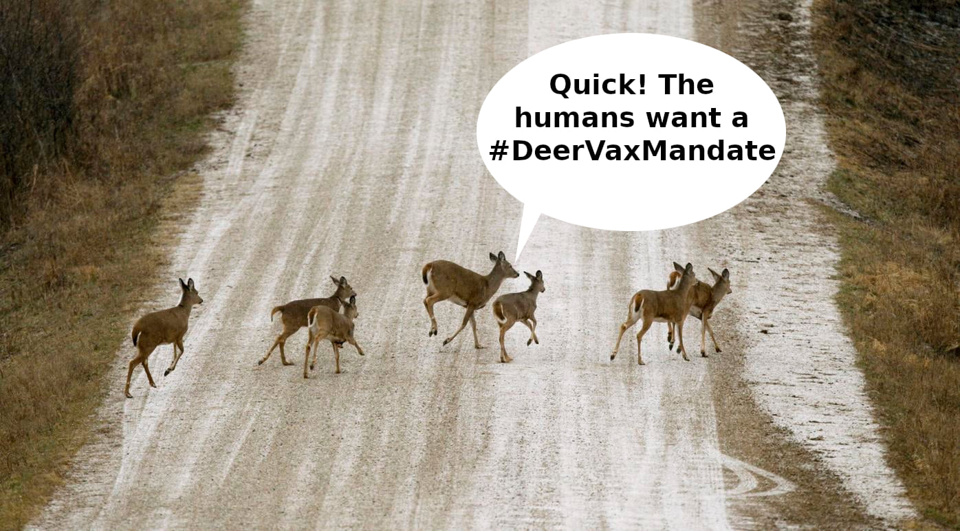 If we don't vaccinate all the deer, we'll never stop #COVID19! Call your congrasshole today and ask for #DeerVaxMandate!