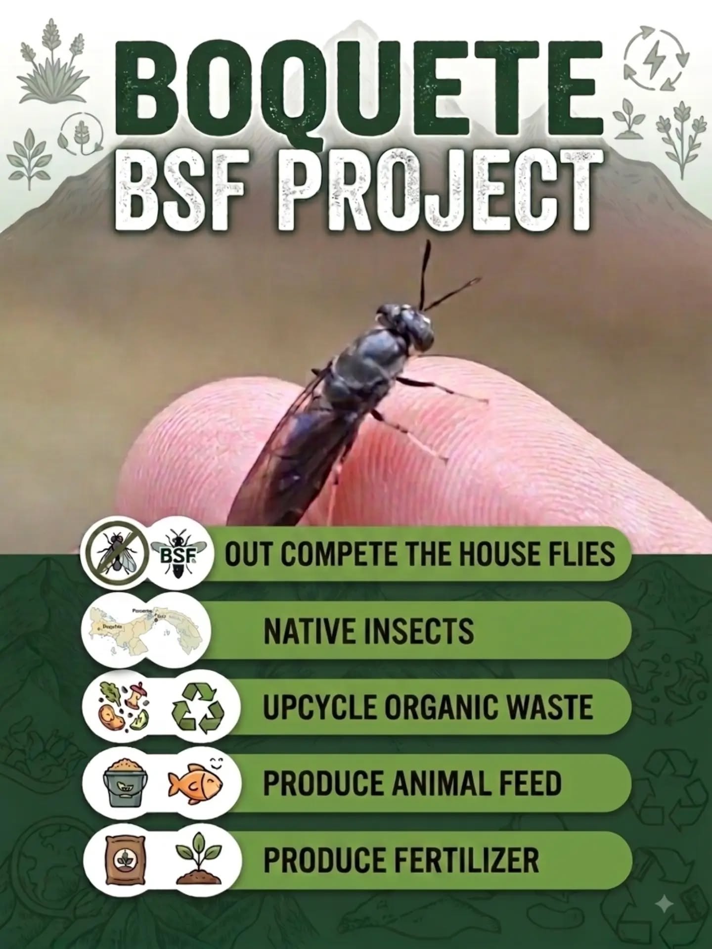 I'm pitching this tomorrow. I love BSF and hate house flies. Anyone else in #Boquete sick of house flies? Help me out!

#bsf #bsfl #blacksoldierfly #agrobusiness