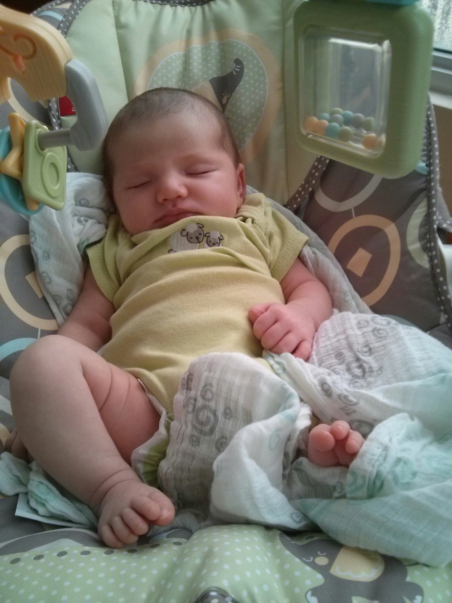 Jillian relaxing in her massage chair. She's ~3 weeks old, tall, and never stresses. Una panameña tranquila.