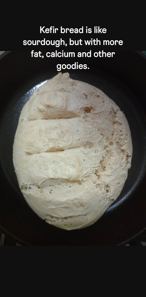 Kefir bread is like sourdough. It is aged ~24 hours, and the microbes turn carbs into acids (making the sour taste).

Kefir bread is better than sourdough, however. It is 25-30% kefir, which is rich in healthy fat, calcium and more.

#kefir #sourdough #healthyfood