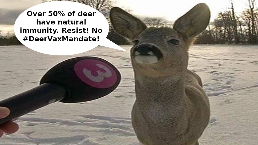 Resist #vaccine Deerany! No #DeerVaxMandate!
#naturalimmunity #covid #covid_19