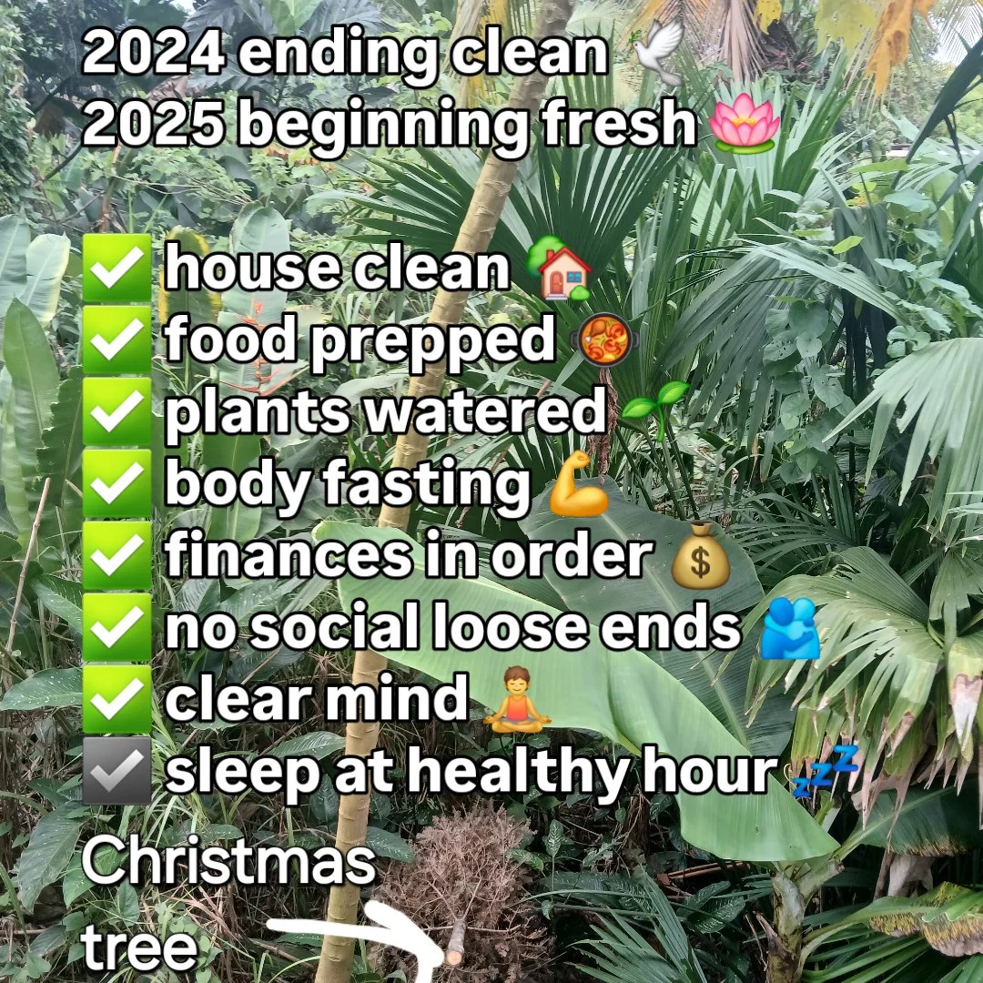 Skipping the year in review. Skipping new years resolutions. I'm living the transition in the moment. I'm manifesting blessings today. ð

#newyear #manifestation #clean #fasting