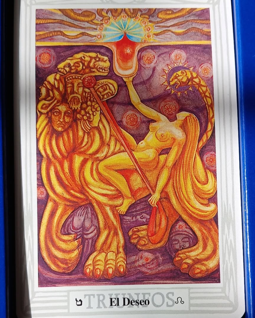 #tarot #IYKYK