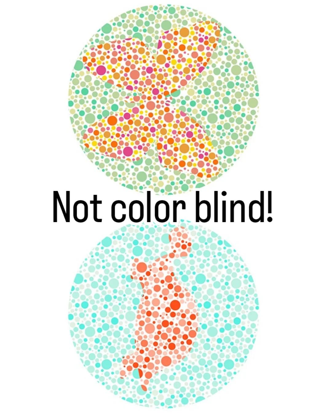 Tested my son, since he sometimes confuses "verde" and "red." Was pretty sure it was just bilingual complications, but it's confirmed. He's not color blind. ð¥°

#toddler #colorblind
