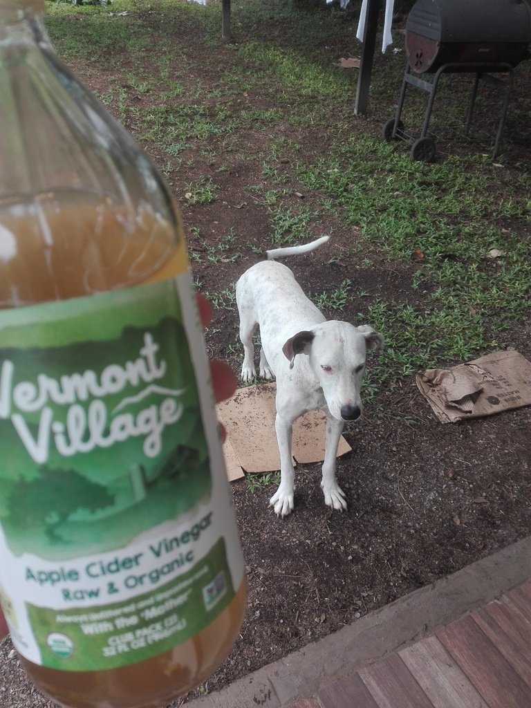TLDR: Apple cider vinegar for humans and animals!

Our newly adopted dog came to us with a few health issues. He had some skin sores, and digestive issues.

The shelter we adopted him from said he'd had a bad reaction to the last deparasite treatment they gave him, and suspected liver damage. We live on a farm, and he's had a couple of ticks already. Additionally, he's been eating grass, cardboard, and other things that lead us to believe he's in digestive distress.

I already use apple cider vinegar for my scalp dermatitis, and we drink it for digestive health. So we read about using it on dogs and found it works at least as well on them. We mixed 50:50 with water in a spray bottle and applied it to his skin, especially where he has sores. We also put some in his water. Immediately, his skin looked better, and he seemed grateful. He also likes the water.

Apparently, this will not only help his existing internal and external issues, but also repel fleas and ticks! I can't recommend it enough.

https://www.veterinarians.org/apple-cider-vinegar-for-dogs/