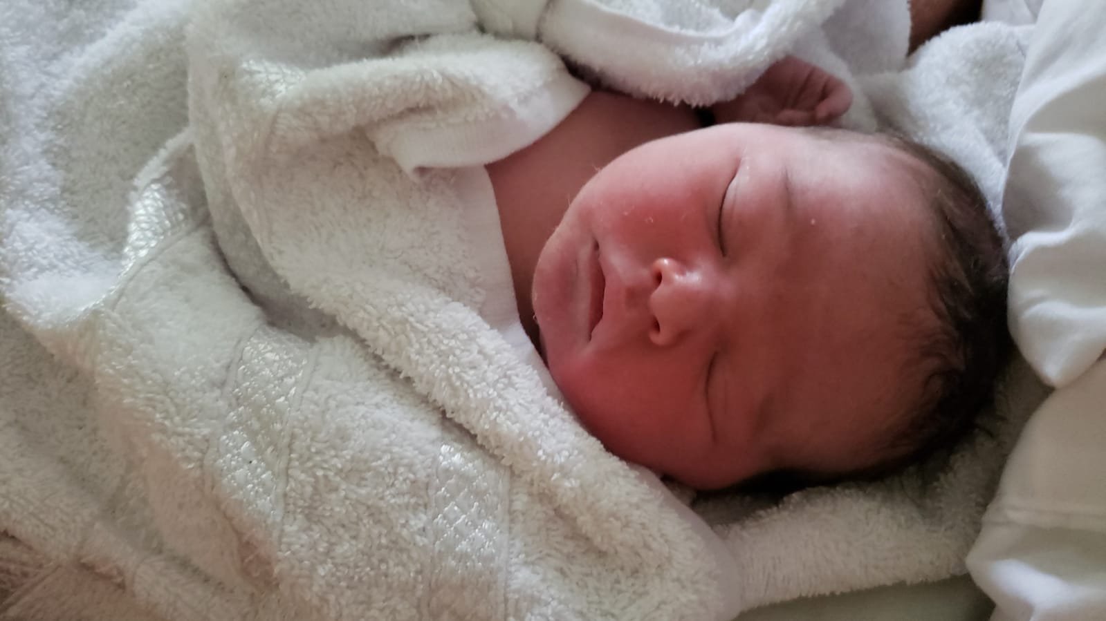 Welcome Bjorn Dale Miller Suarez, aka Osito!

He was born at home on our farm at 10:55 yesterday morning (June 7th). He weighs 9 lbs and is very healthy.

@[100004154703421:2048:Ingrid] made it through 54 intense and sleepless hours of labor like a champion, and is now resting. We'll have a party in coming weeks for friends in Panama, and do some limited online interactions until then.

#freebirth #homebirth #naturalbirth #newborn