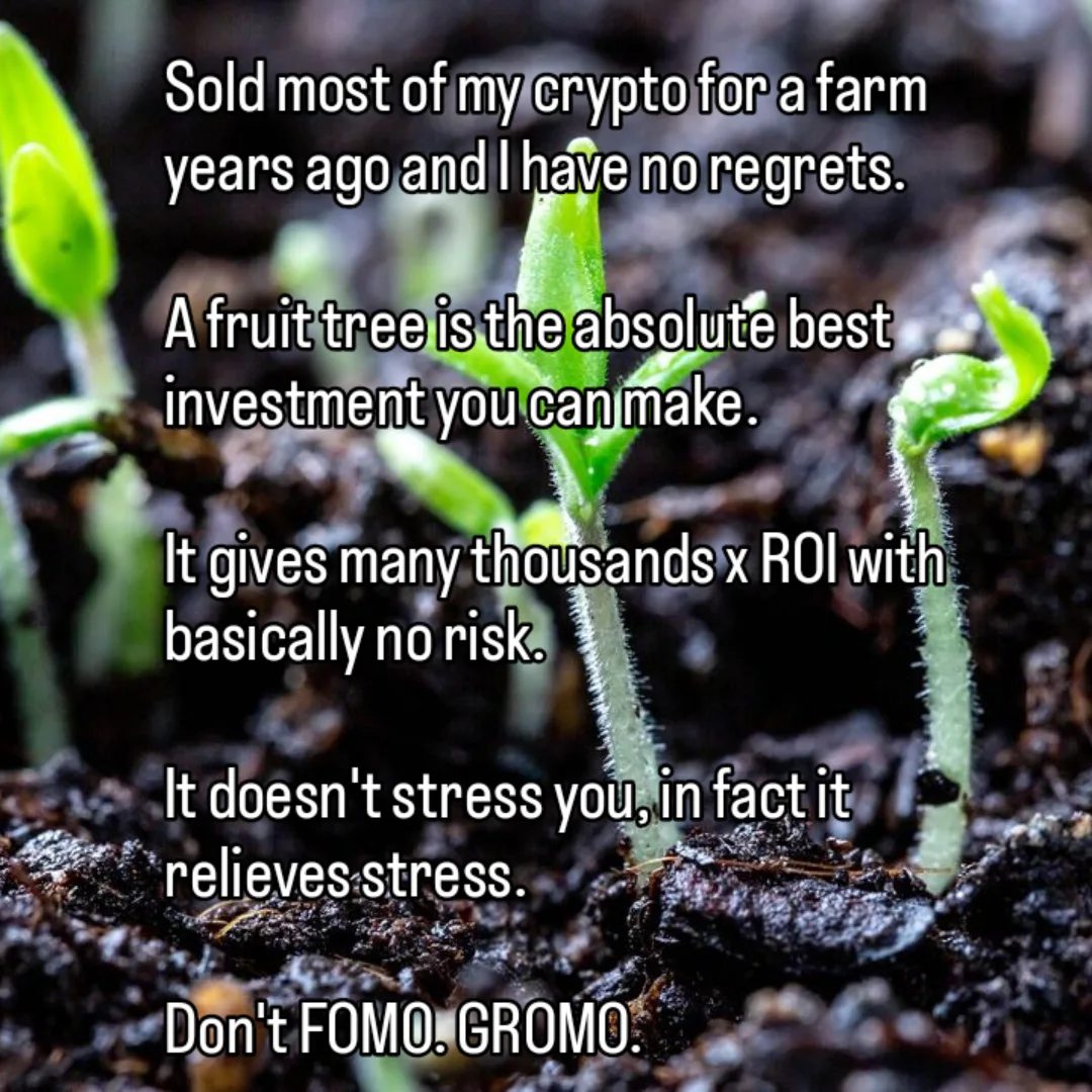 Yes, I was into crypto very early. I had fun with the tech, made money, lost money, etc...

My investment advice is plant a fruit tree. Better ROI, less risk, less stress.

#investment #investing #crypto #cryptocurrency #bitcoin #fomo