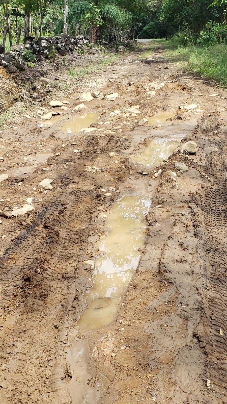 The first mud pit. Spent over two hours getting out of this one!