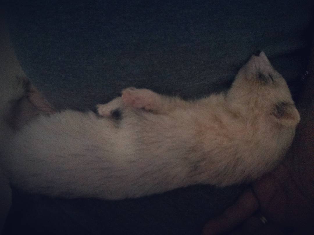 Zzzz steal the keys zzz